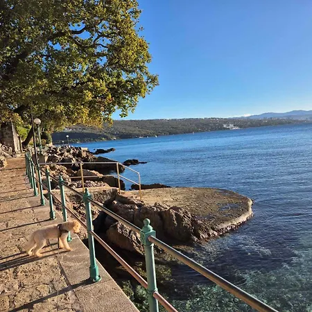 Near In 57806 Opatija